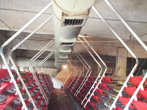 Flexible auger product coil Flexible auger product coil